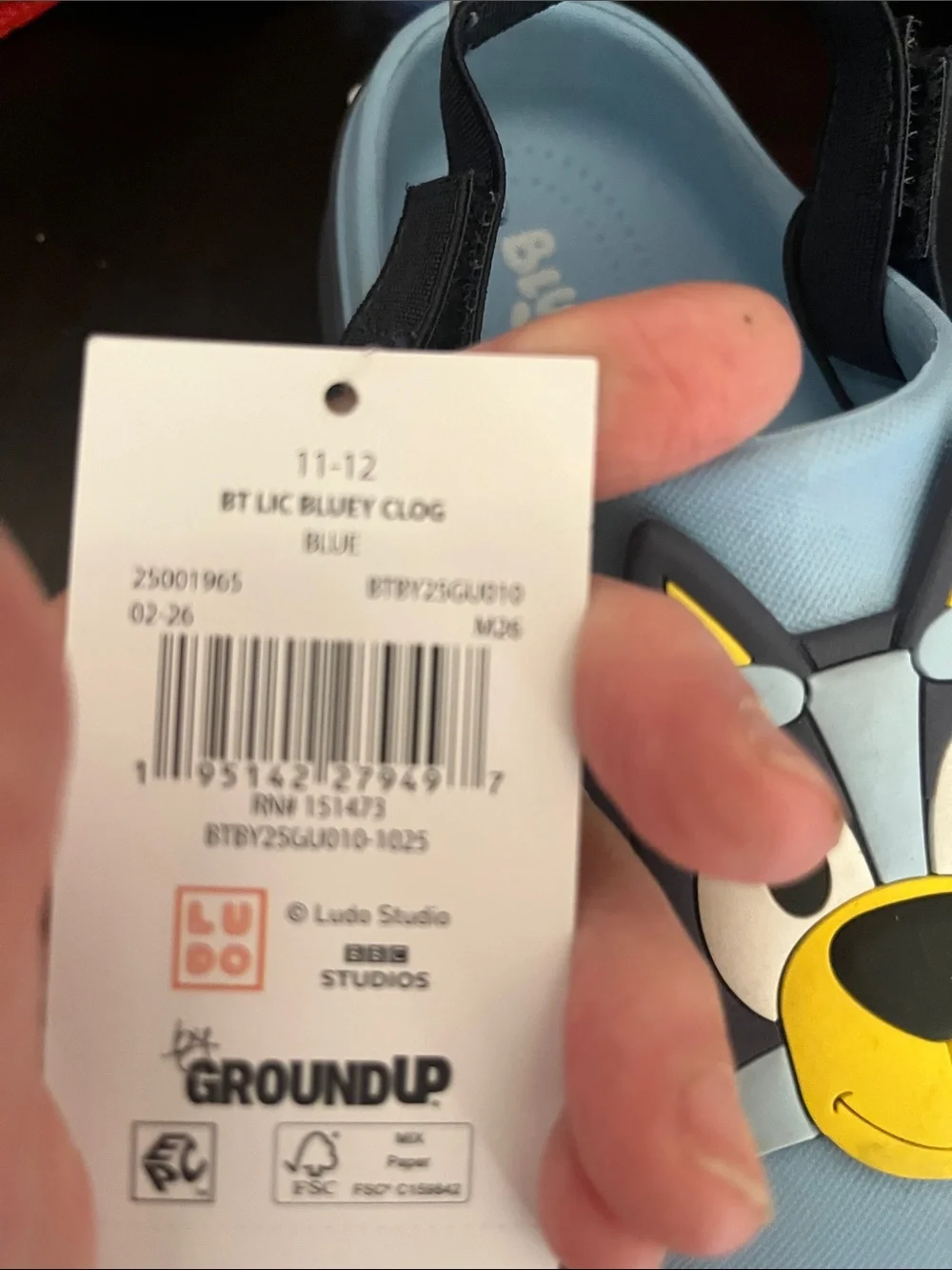 Lucy Light Blue and Navy Kids Slip-On Water Shoes with Dog Face